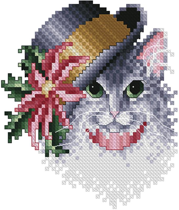 Poinsettia